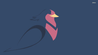 Bird yellow beak blue pink - a pink tail free wallpaper