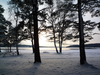 Trees snow water footprints ground - footprint free wallpaper