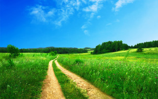 Dirt road lush green field 5 - a lush green field free wallpaper
