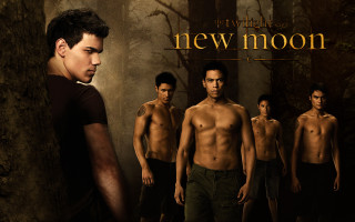 Group men forest new moon - everett warner free wallpaper for desktop