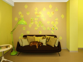 Dog couch wallpaper lamp room - vibrant color scheme free wallpaper