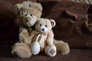 Teddy bears couch brown blanket - two teddy free wallpaper