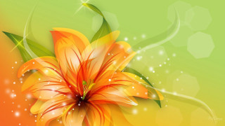 Bright orange flower green leaves - orange flower free wallpaper for desktop