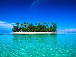 Small island palm trees clear - a small island free wallpaper for desktop