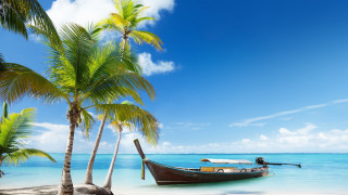 Boat docked tropical beach palm - a tropical beach free wallpaper