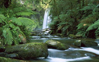 Waterfall forest rocks trees stream - green foliage free wallpaper