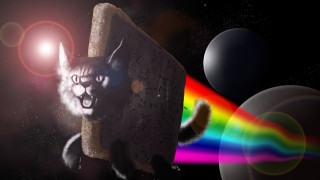 Cat rock rainbow light background 2 - free cats wallpaper