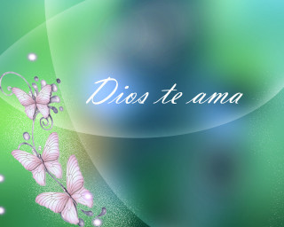 Green background pink butterflies dios - pink free wallpaper for desktop