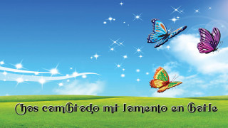 Field butterflies sky message espanol - a picture of a field free wallpaper