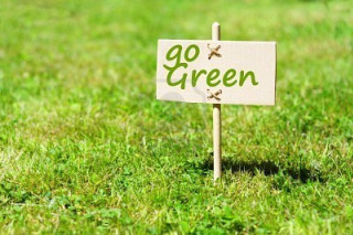Go green lawn grass background - in the foreground free wallpaper