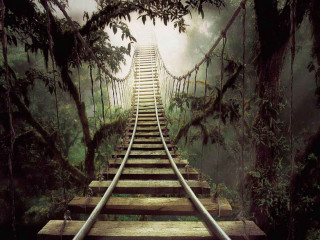 Wooden bridge ladder jungle fog - the jungle free wallpaper