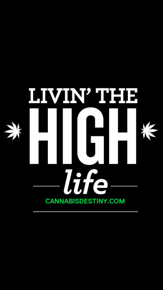 Livin the high life cannabisdestiny - high definition free wallpaper