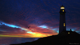 Lighthouse bird flying sunset colorful - a lighthouse free wallpaper