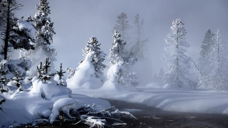 Snowy forest stream winter mist - covered free wallpaper