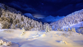 Snowy mountain trees night stars - beautiful free wallpaper