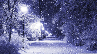 Snowy path street light trees 2 - both side of it free wallpaper