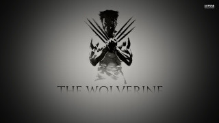 Man holding wolverine logo chest 2 - bradley walker tomlin free wallpaper for desktop