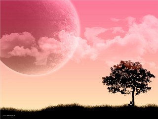 Tree person pink sky large - fathi hassan free wallpaper