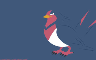 Bird red white beak pokemon - beak free wallpaper for desktop