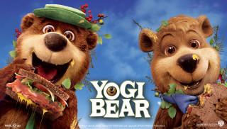 Bears standing food yogi bear - david young cameron free wallpaper