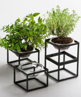 Small plants black planter white - a couple free wallpaper for mobile