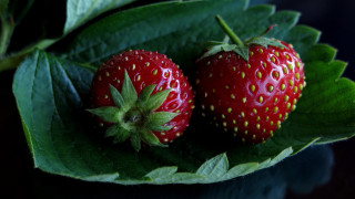 Strawberries leaf table top black - berry free wallpaper
