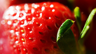 Strawberry water droplets macro leaf - delaunay free wallpaper for desktop