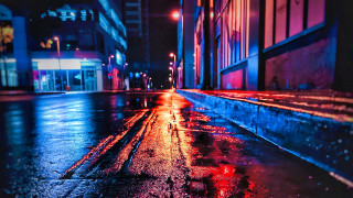 Wet street neon cyberpunk elsa - a wet street free wallpaper