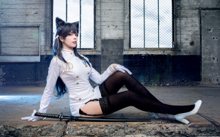 White outfit sitting sword cat - cosplay free wallpaper