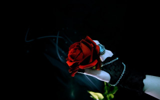 Woman hand red rose chain - a chain free wallpaper for desktop