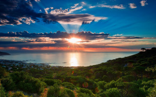 Sunset water trees bushes city - crepuscular free wallpaper for desktop