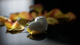 Flower ring blurry background stilllife - evert collier free wallpaper