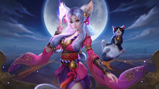 Pink dress woman cat fullmoon - a cat and a cat free wallpaper