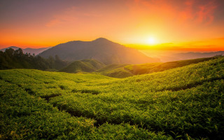Sunset green hills mountains valley - david imms free wallpaper for desktop