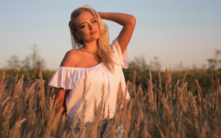 Woman field blonde shoulders sunset - tall grass free wallpaper