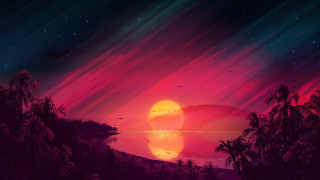 Sunset red sky palm trees - a red sun free wallpaper