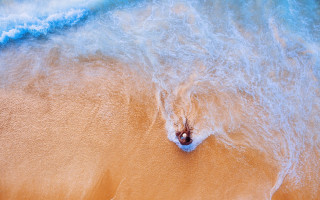 Surfing wave ocean sunny portrait - top of a surfboard in the ocean free wallpaper