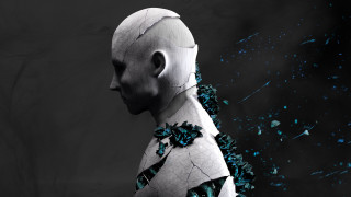 White man blue flower black - deconstructivism free wallpaper