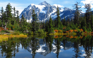 Mountain lake reflection trees autumn - tree and grass free wallpaper