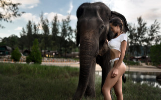 Woman elephant grass water nature - a white bikini free wallpaper