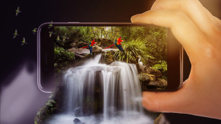 Person holding phone waterfall birds - a bird free wallpaper