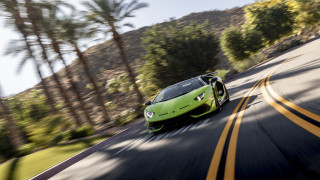 Green sports car palm trees - the car free wallpaper for desktop