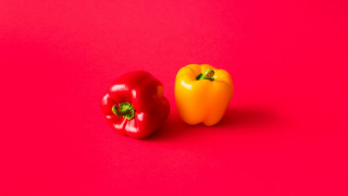 Two peppers pink background red - the left side free wallpaper