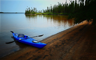 Blue kayak lake shore trees - lake free wallpaper