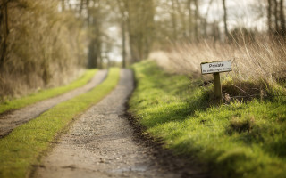 Private press tiltshift field path - david inshaw free wallpaper