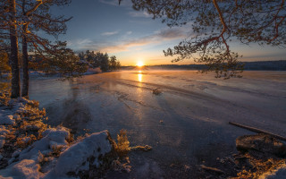 Sunset frozen lake trees snow - bruno liljefors free wallpaper