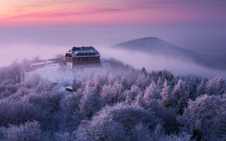 House hill trees fog sunset - alen divi free wallpaper