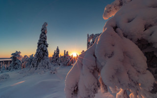 Sunset snowy forest mountains blue - forest free wallpaper