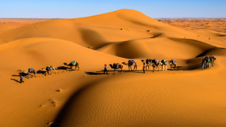 Sahara desert camel riders morocco - farid mansour free wallpaper