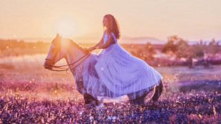 Woman horse flower field sunset - elinor proby adams free wallpaper